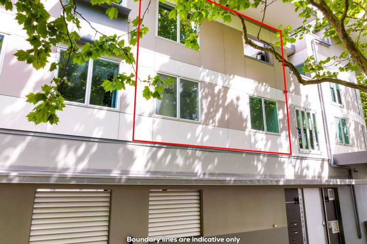 7/1A Picton Street Freemans Bay_19