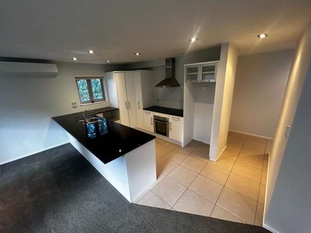 20A Emerson Street St Heliers_2