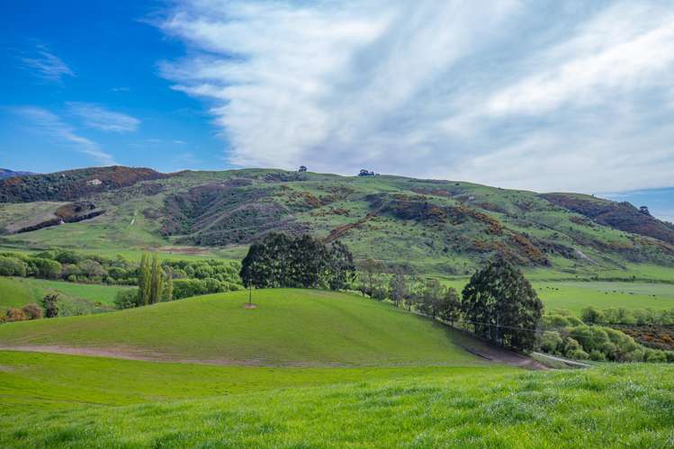 771 Gum Tree Flat Road Waimate_6