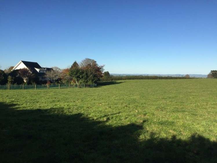 311 Opunake Road Cardiff_37