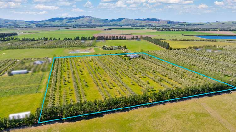 325 Georges Road Amberley_34