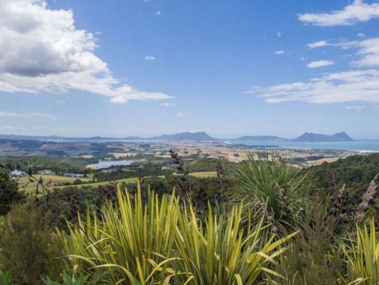 442 Prescott Road Ruakaka_3