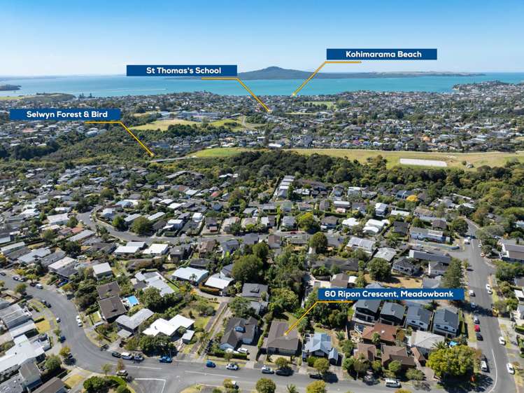 60 Ripon Crescent Meadowbank_23