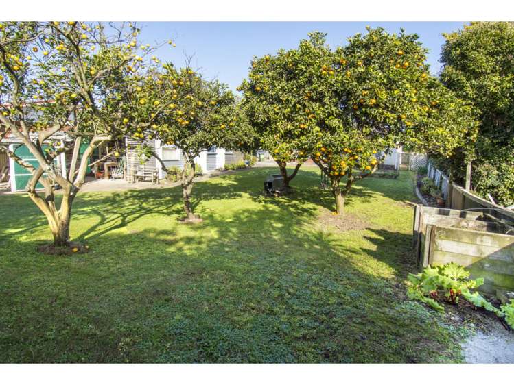 23 Paterson Street Mount Maunganui_13