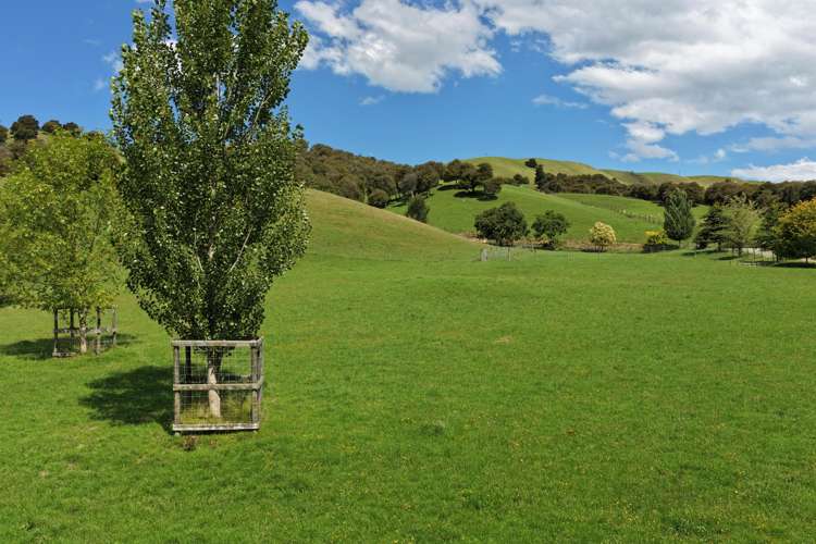 455 Anaroa Road Raukawa_24