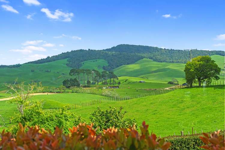 258 Paratu West Road Richmond Downs_33