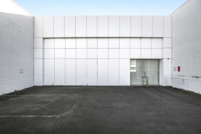 12 Akepiro Street Mt Eden_4
