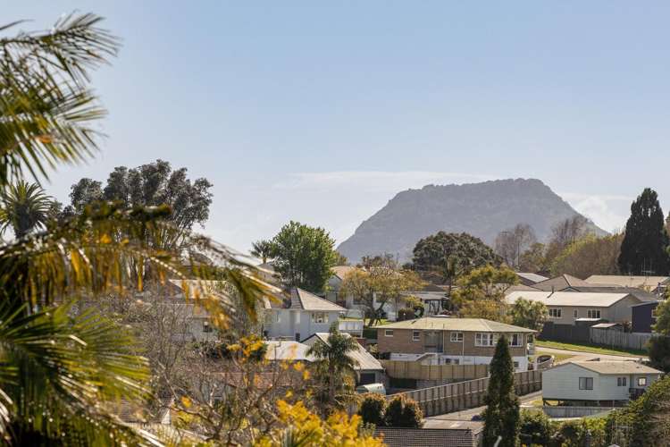 22a Winchester Terrace Bethlehem_13