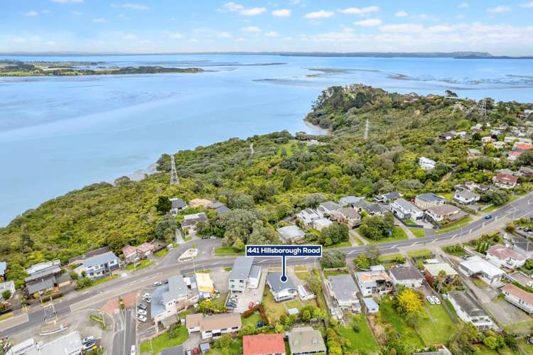 441 Hillsborough Road Mount Roskill_23