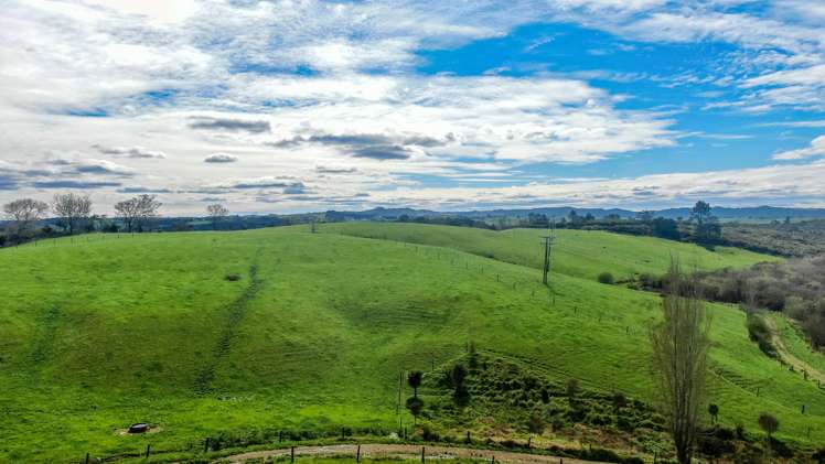 407 Island Block Road Te Kauwhata_1