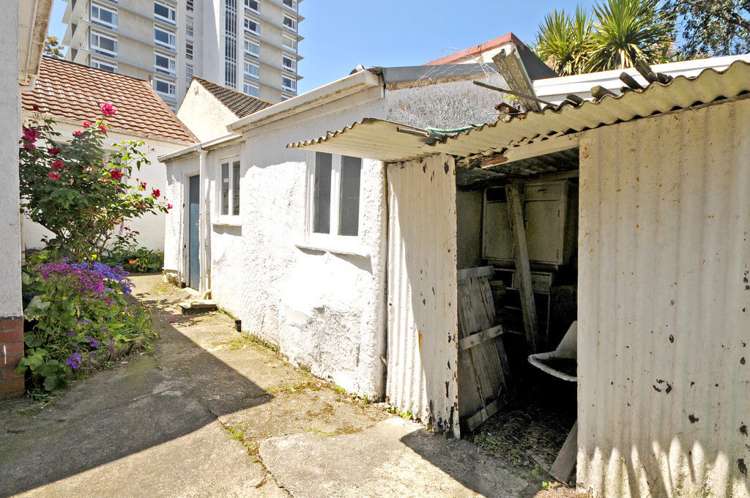 45 Palmer Street Aro Valley_13