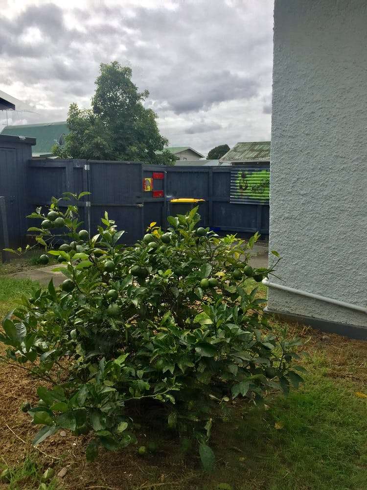 17a Princes Street Hawera_14