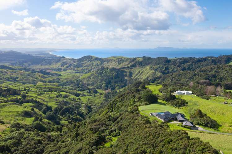 140C Rodney Road Leigh_14