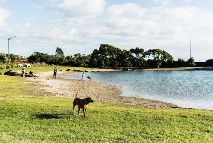 22 George Terrace Onehunga_10