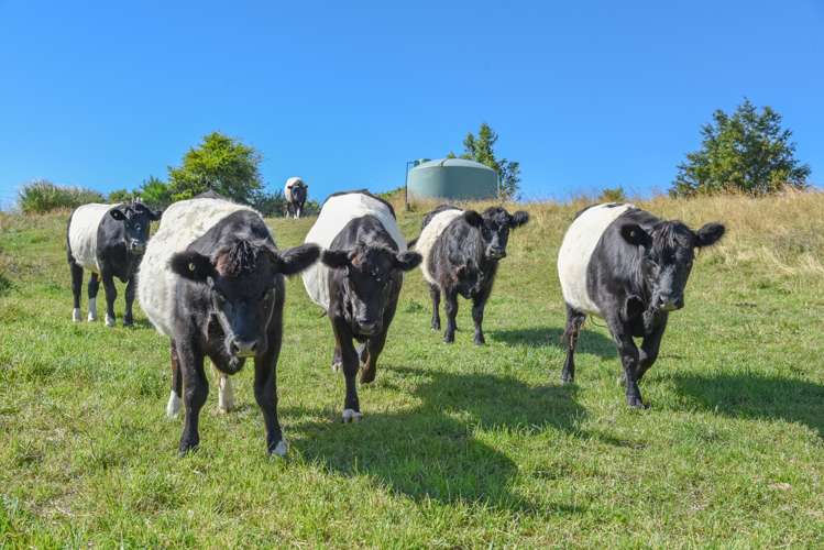 96 Wrights Road Sheffield_15