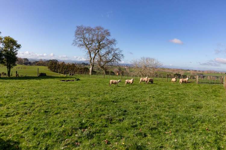 105b Hall Road Rangiriri_24