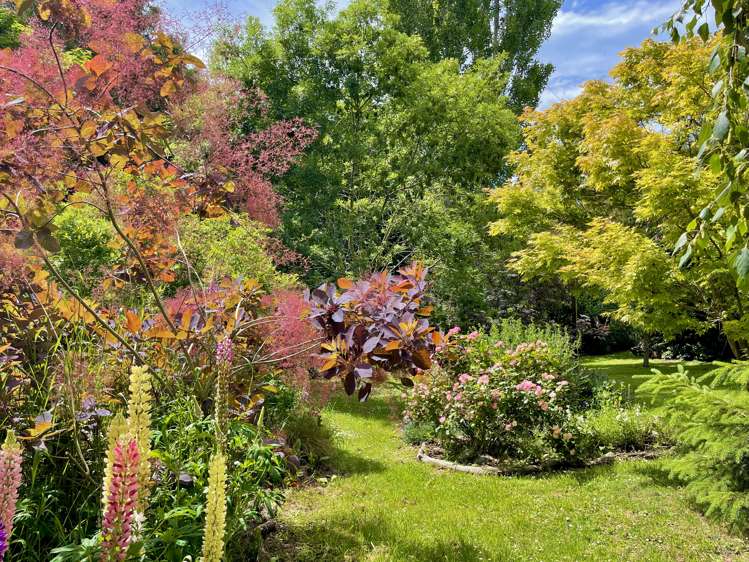 669 Whitstone-Five Forks Road Five Forks and Surrounds_28