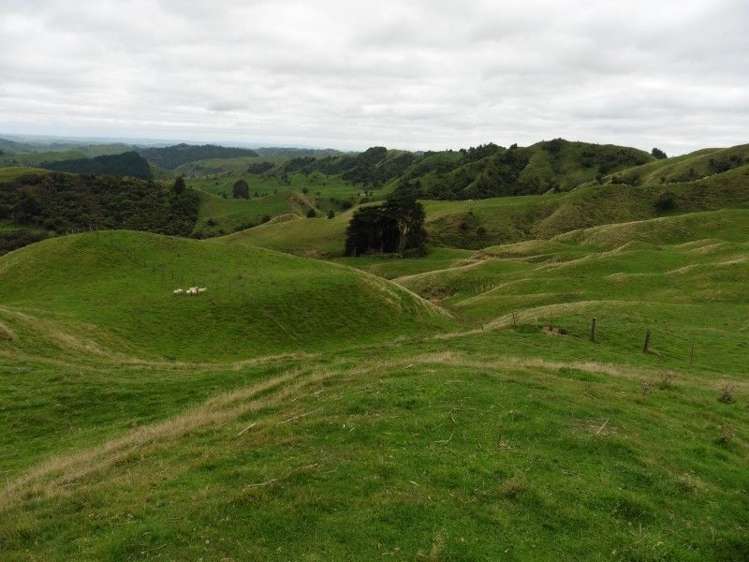 2837 State Highway 4 Aria_20