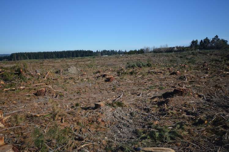 423 Hayland Road Okuku_6