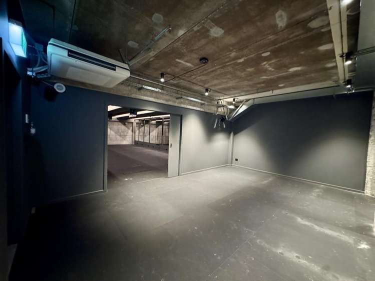 202 Ponsonby Road Ponsonby_11