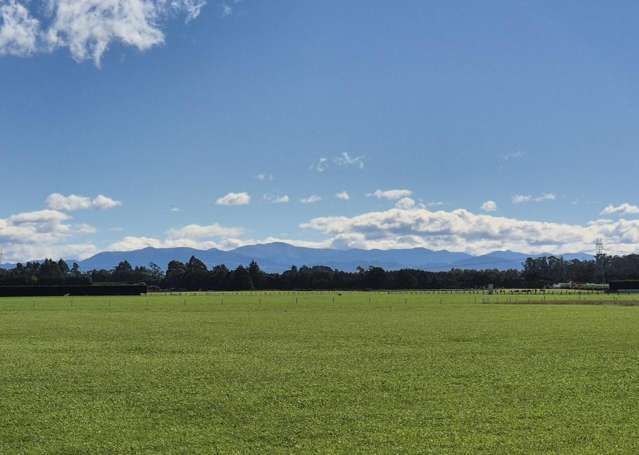 4 hectares with uninterrupted views