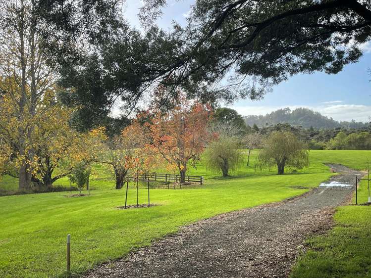 263 Sunnyside Road_2