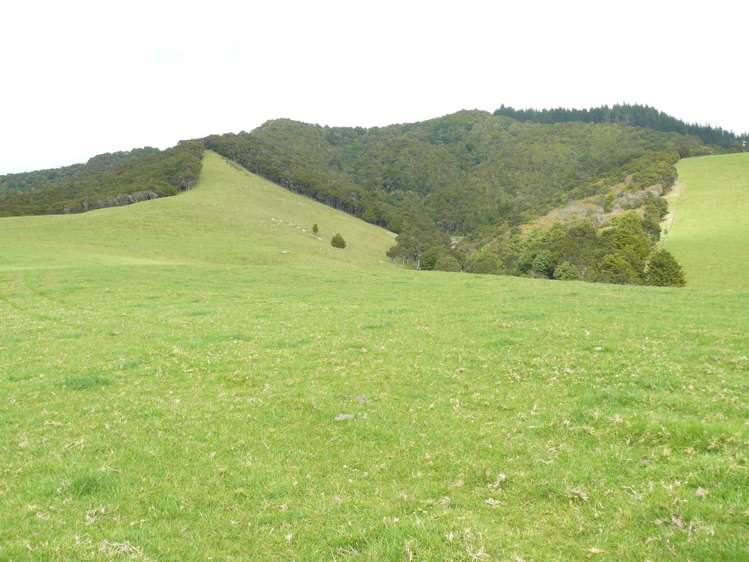 807 Puketona Road Haruru_18