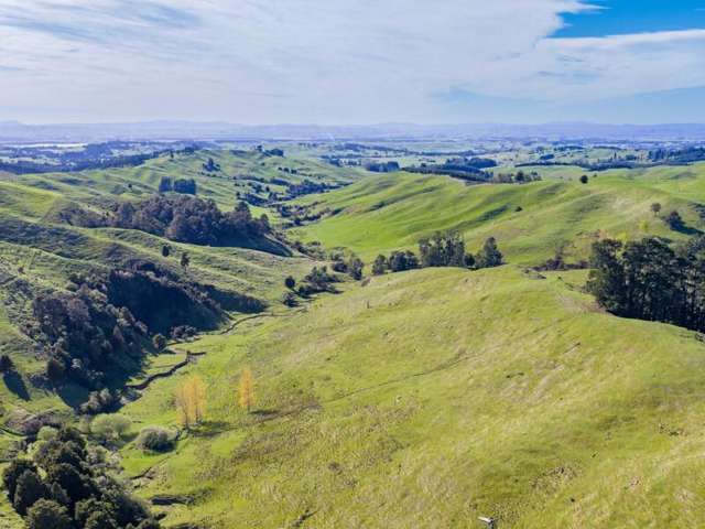 1139 Blackburn Road Central Hawkes Bay_3