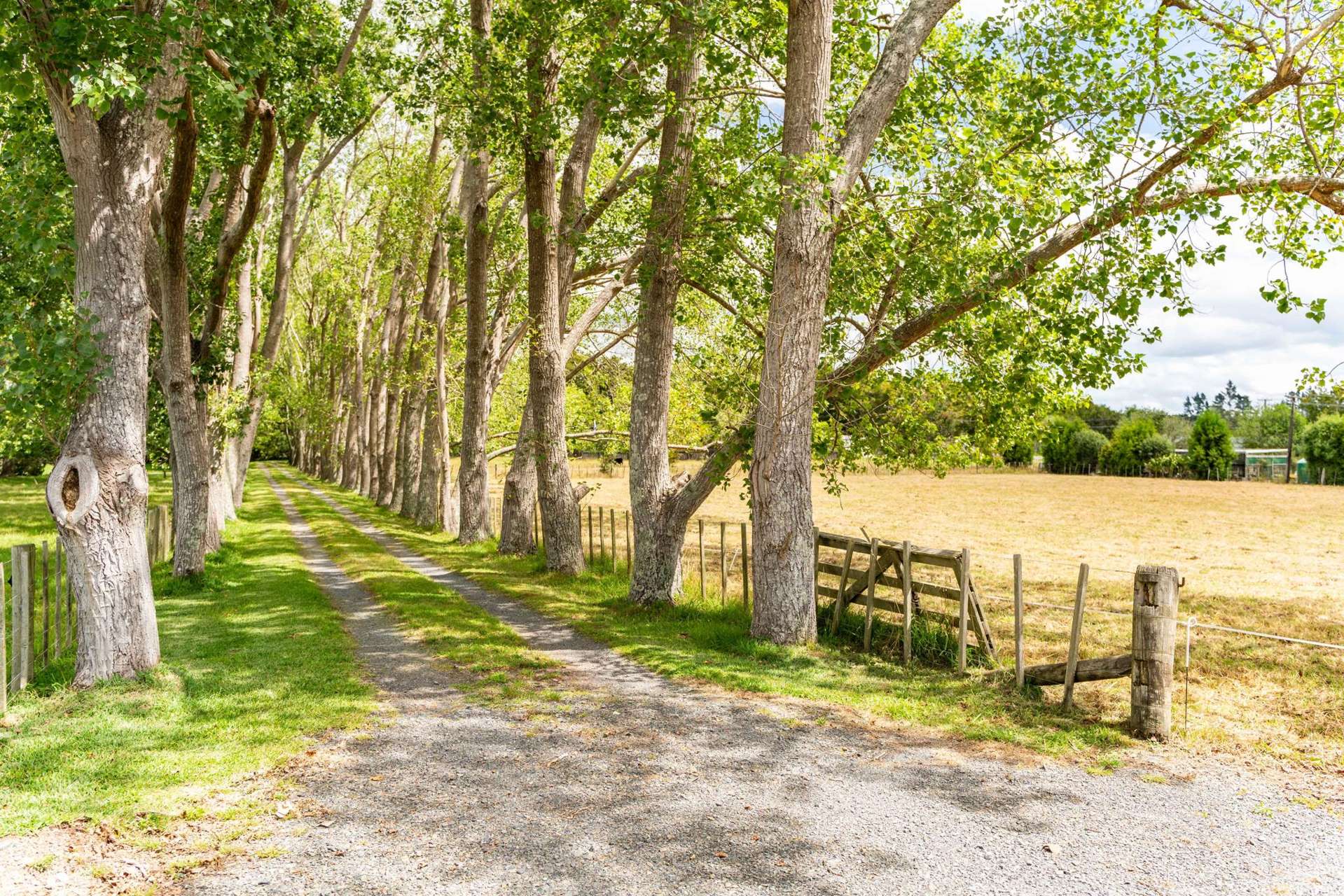 509 Kara Road Maungatapere_0