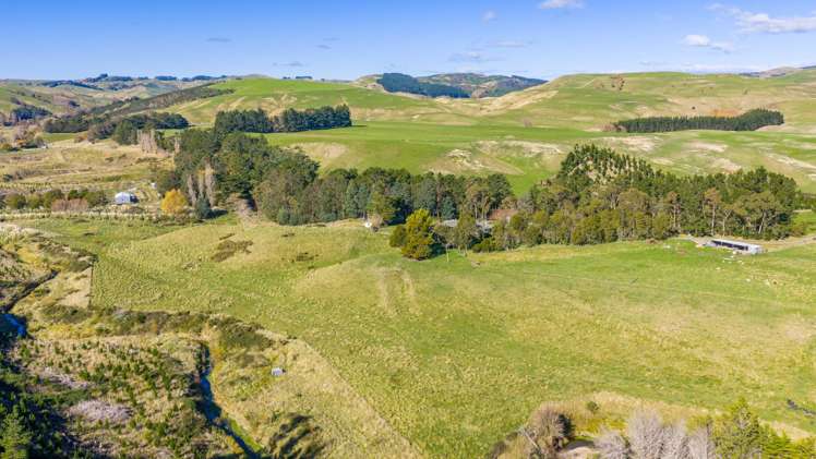 254 Wilder Road Porangahau_23
