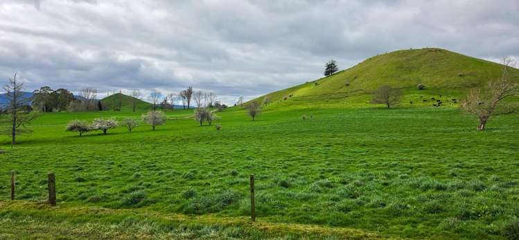 83 Brett Road Rerewhakaaitu_6