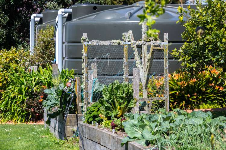 15 Josephine Place Te Kauwhata_38