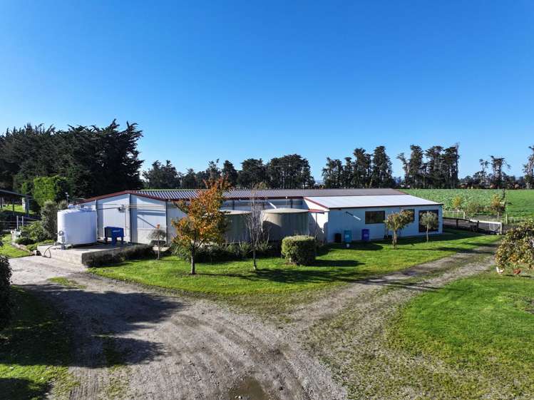 61 Donald Road Edendale_6