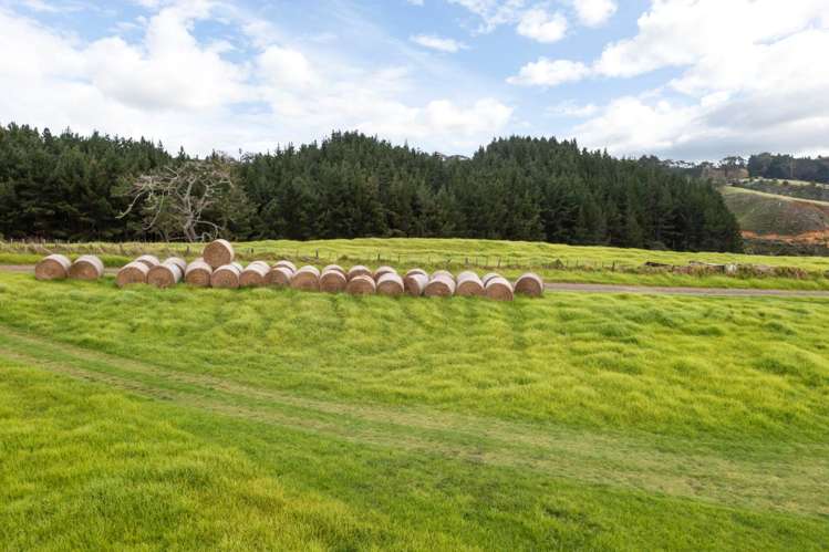 199 Mcpike Road Waimauku_21