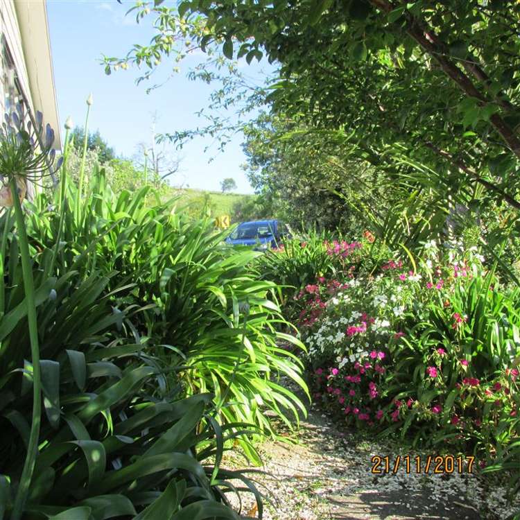 1123 State Highway 12 Oue_25