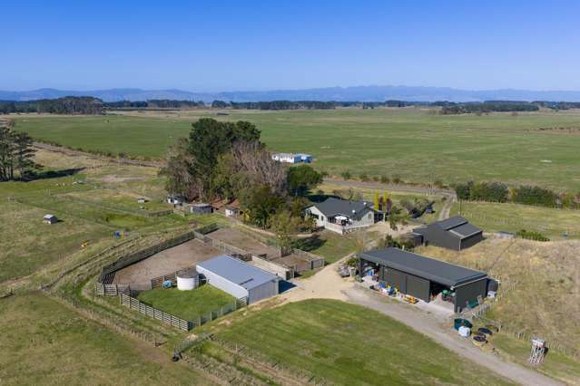 163 Downs Road Himatangi_2