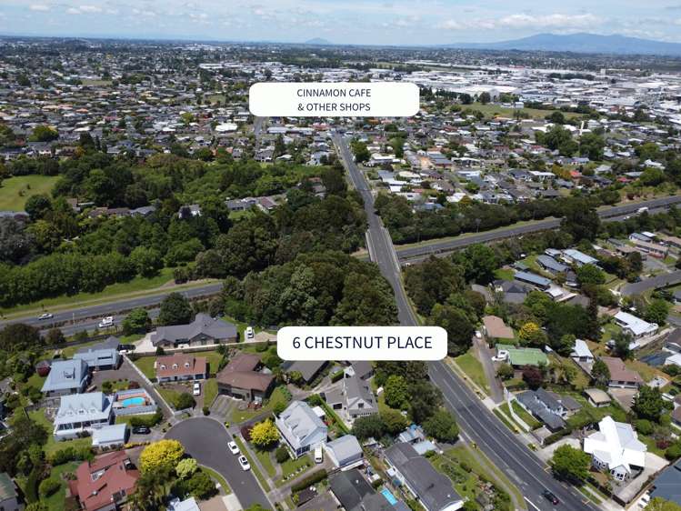 6 Chestnut Place Pukete_23