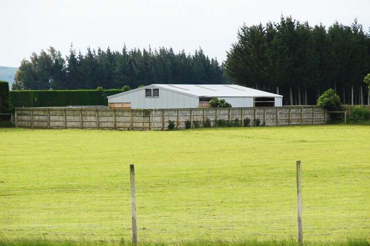 389 Mckenzie Road Winton Surrounds_7