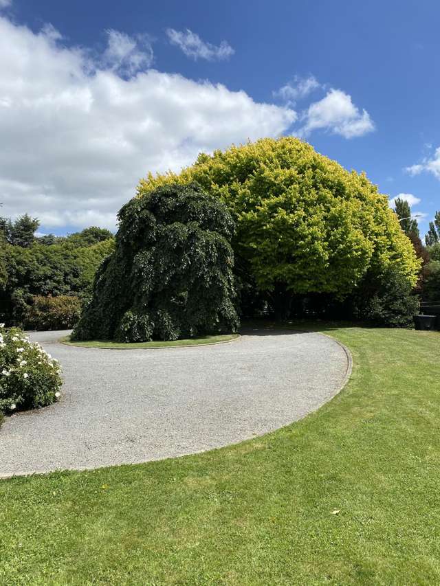 241 Trices Road Prebbleton_3