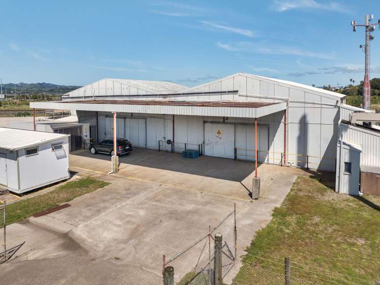 8 Titoki Place Mt Maunganui_3