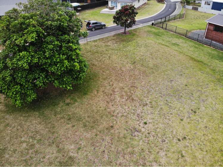 14 Flame Tree Lane Taipa_7