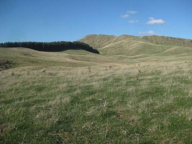 1 Akaroa Road Pongaroa_4