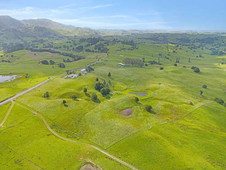 201 Avoca North Road Tangowahine_32