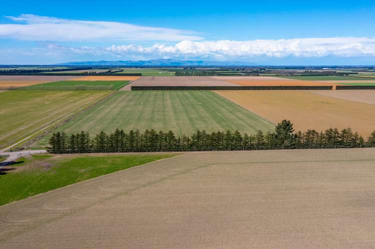 684 Telegraph Road Selwyn_3