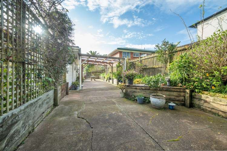 18 Palm Court Drive Glen Eden_10