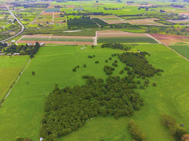 81 Muhunoa West Road Ohau_21