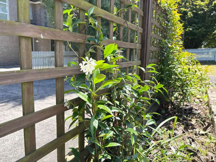 32 Kitchener Road Waiuku_24