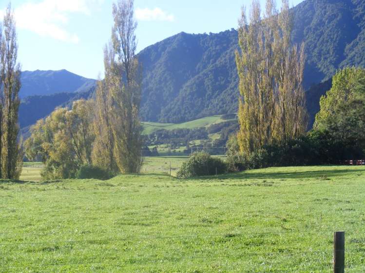 142 Armadale Road Gordon_4