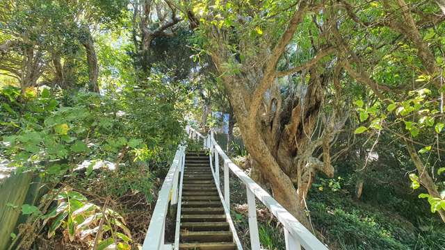 Lot 1/DP51532 Schoolhouse Bay Road Kawau Island_4