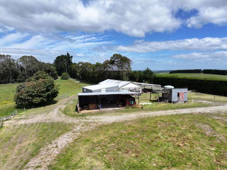986 Downs Road South Edendale_5